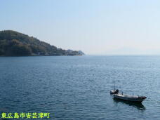 185434_2.jpg  : 40 KB