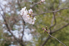 185441_1.jpg  : 113 KB