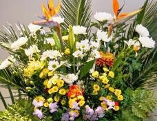 185444_1.jpg  : 76 KB