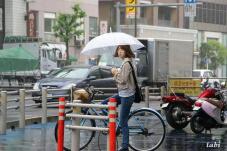 185450_7.jpg  : 73 KB