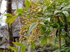 185451_2.jpg  : 76 KB