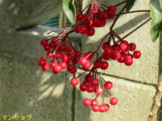 185451_3.jpg  : 49 KB