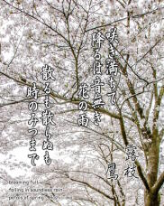 185458_1.jpg  : 346 KB