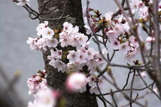 185460_3.jpg  : 162 KB