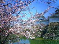 185462_1.jpg  : 262 KB