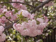 185462_2.jpg  : 154 KB