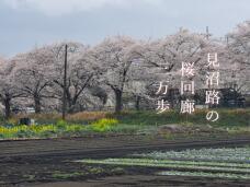 185465_1.jpg  : 109 KB