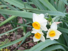 185466_1.jpg  : 43 KB