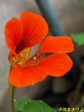 185466_2.jpg  : 27 KB