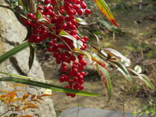 185466_3.jpg  : 65 KB