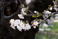 185473_1.jpg  : 65 KB