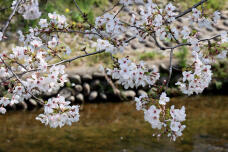 185473_3.jpg  : 103 KB