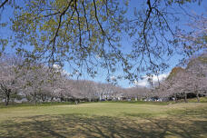 185476_1.jpg  : 411 KB