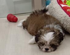 185479_1.jpg  : 64 KB