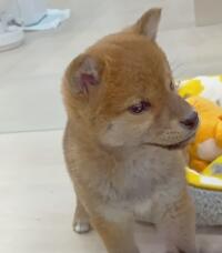 185479_2.jpg  : 38 KB