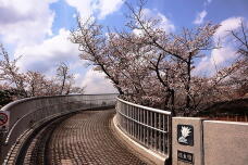 185480_1.jpg  : 215 KB