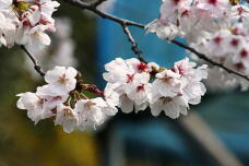 185480_2.jpg  : 118 KB