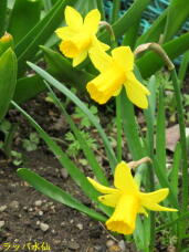 185485_2.jpg  : 55 KB