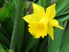 185485_3.jpg  : 32 KB