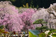 185491_1.jpg  : 89 KB