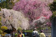 185491_3.jpg  : 88 KB