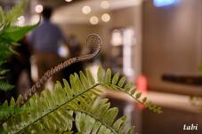 185497_6.jpg  : 43 KB