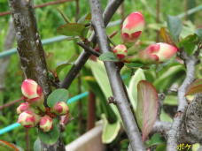 185499_2.jpg  : 56 KB