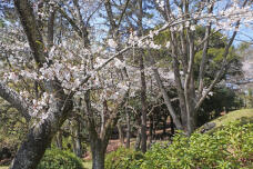 185501_1.jpg  : 458 KB