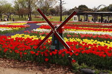 185517_2.jpg  : 254 KB