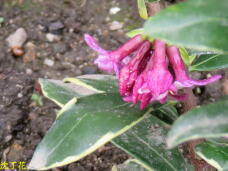 185523_1.jpg  : 50 KB