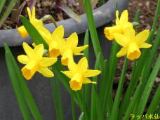 185523_3.jpg  : 48 KB