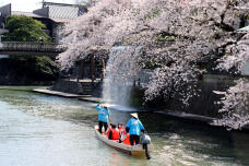 185531_1.jpg  : 136 KB