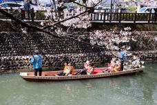 185531_2.jpg  : 145 KB