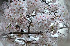 185537_3.jpg  : 129 KB