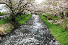 185544_1.jpg  : 282 KB