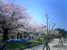 185548_1.jpg  : 131 KB