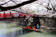 185556_1.jpg  : 137 KB