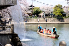 185556_2.jpg  : 97 KB