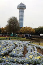 185558_1.jpg  : 183 KB