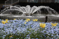 185558_2.jpg  : 210 KB