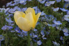 185558_3.jpg  : 131 KB