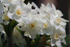 185564_1.jpg  : 45 KB