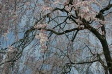 185564_2.jpg  : 98 KB