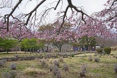 185566_1.jpg  : 367 KB