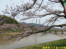 185580_1.jpg  : 87 KB