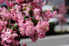 185585_2.jpg  : 73 KB