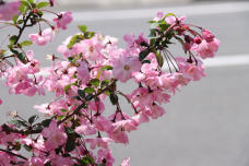 185585_3.jpg  : 82 KB