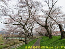 185593_1.jpg  : 110 KB