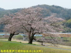 185593_2.jpg  : 74 KB