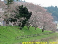 185593_3.jpg  : 74 KB